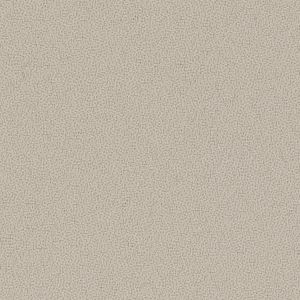 Beige (61008)